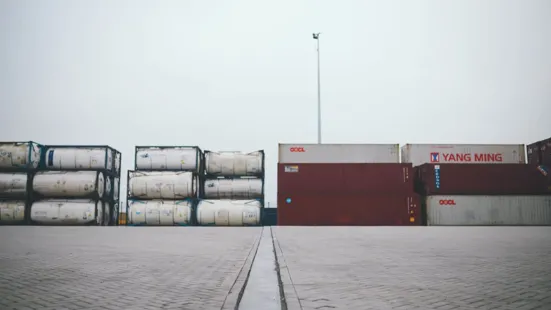 RVB-infra-Neele-Vat-012.jpg RVB-infra-Neele-Vat-012.jpg